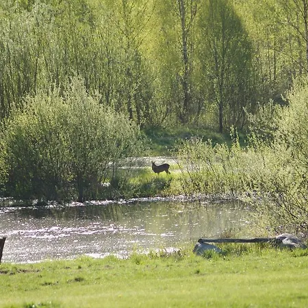 Vakantieboerderij Puszcza Romincka Dom Z Dusza Galwiecie